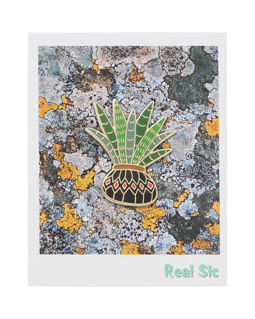 aloe vera plants enamel lapel pins aloe vera plants enamel lapel pins